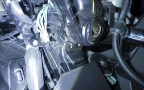 HONDA FORZA 250 2006 MF17