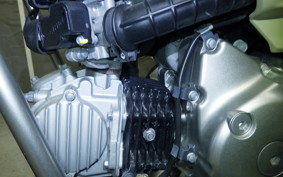 HONDA CT125 HUNTER CUB 2019 JA55