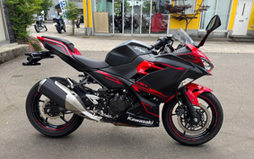 KAWASAKI Ninja 250 ABS EX250P