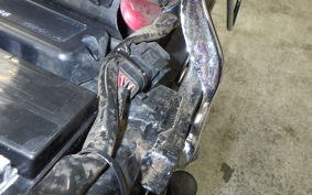 HARLEY FXSTC 1340 1998