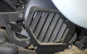 HONDA GIORNO 3 1998 AF77