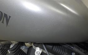 HARLEY XL883N 2018