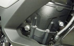 KAWASAKI NINJA 1000SX 2024 ZXT02K