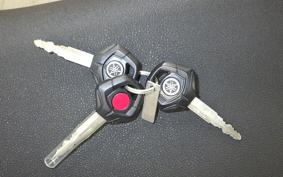 YAMAHA TENERE 700 2020 DM09J