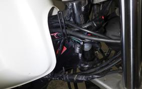 YAMAHA TW225 DG09J
