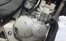 HONDA HORNET 250 MC31