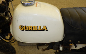 HONDA GORILLA AB27