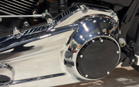 HARLEY FLFB 2025 YF9