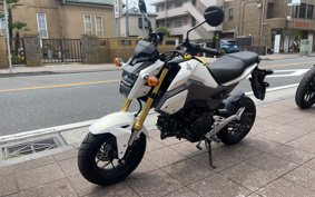 HONDA GROM JC61