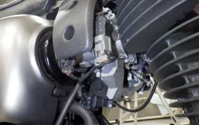 KAWASAKI W800-2ｽﾄﾘｰﾄ 2019 EJ800B