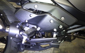 BMW R1300RS 2026