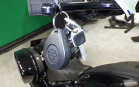 HARLEY FXLRST1920 2024