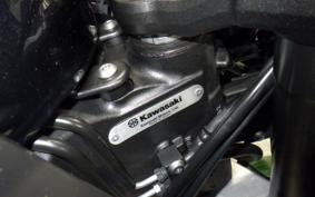 KAWASAKI NINJA 1000SX 2023 ZXT02K