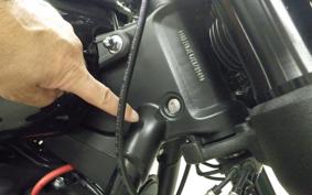 HARLEY FXFB1750 2020