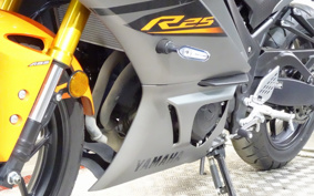 YAMAHA YZF-R25 RG74J