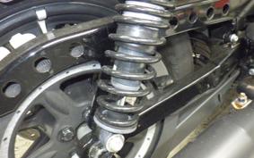 HARLEY XL883N 2017
