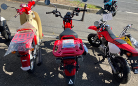 HONDA CT125 HUNTER CUB JA55