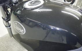 SUZUKI GOOSE 250 NJ46A