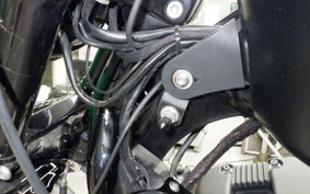 HARLEY XL883N 2017