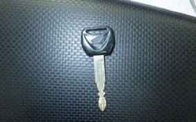 HONDA HORNET 250 2025 MC31