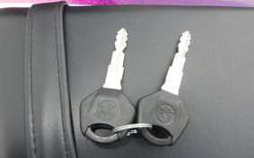 YAMAHA YZF-R25 A RG74J