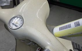 VESPA 100
