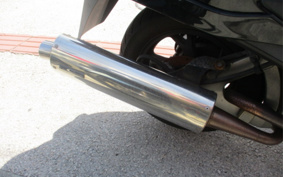 SUZUKI SKYWAVE 250M CJ45A