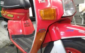 HONDA SQUASH 2022 AB11