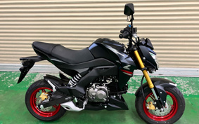 KAWASAKI Z125 PRO BR125H
