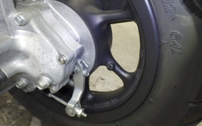 HONDA ZOOMER-X 2025 JF52