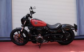 HARLEY HARLEY RH975 NIGHT  STAR 2024 ZH1