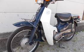 HONDA SUPER CUB50 C50