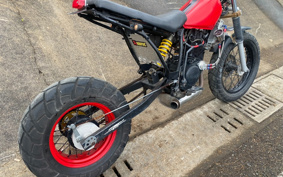 YAMAHA TW225 DG09J