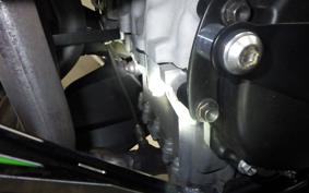 KAWASAKI NINJA ZX-6R A 2025 ZX636J