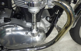 KAWASAKI W800 2022 EJ800E