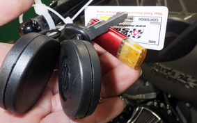 HARLEY FXBB1750 2019