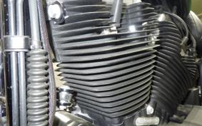 HARLEY XL883N 2019