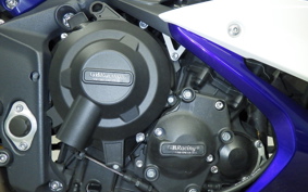 TRIUMPH DAYTONA 675 R 2015