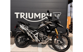 TRIUMPH TIGER 1200 RALLY PRO 2026 TAP20V