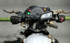 KAWASAKI NINJA 250 EX250L