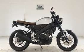 YAMAHA XSR155