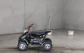 OTHER  BUGGY 50CC ..