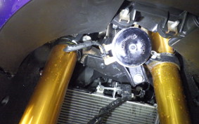 YAMAHA YZF-R25 A 2017 RG43J