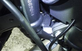 OTHER +ENFIELD CLASSIC350 2023