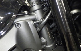 KAWASAKI Z900RS CAFE 2024 ZR900K