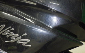 KAWASAKI ZX 1400 NINJA R A 2016