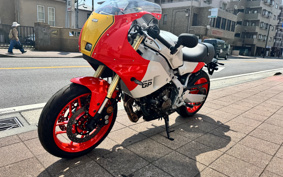 YAMAHA XSR900 GP 2024 RN96J