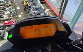 KAWASAKI Z250 SL BR250E