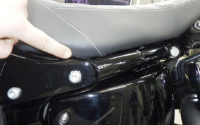 HARLEY FXBRS1870 2020