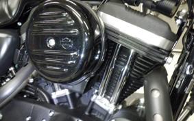 HARLEY XL883N